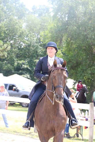 at RRDC horse show in saddleseat class line up